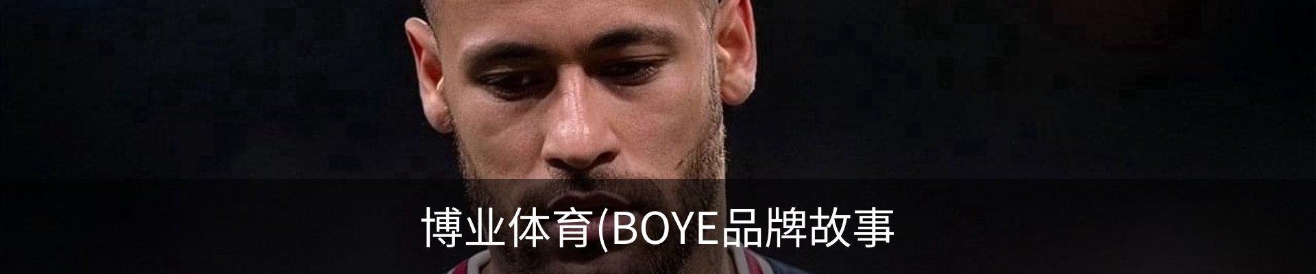 博业体育(BOYE品牌故事